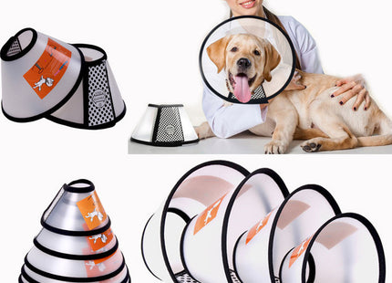 Collar Isabelino Con Velcro Para perro O Gato Tamaño Regulable