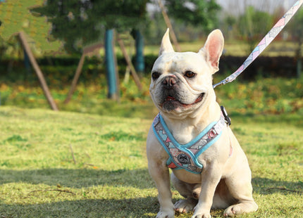Arnés Pechera En Forma X  + Correa Para Perro