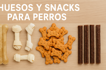 Huesos y Snacks