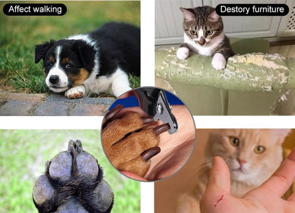 Corta Uñas Para Mascotas Incluye Lima