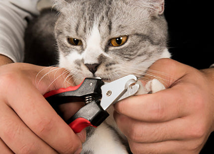 Corta Uñas Para Mascotas Incluye Lima
