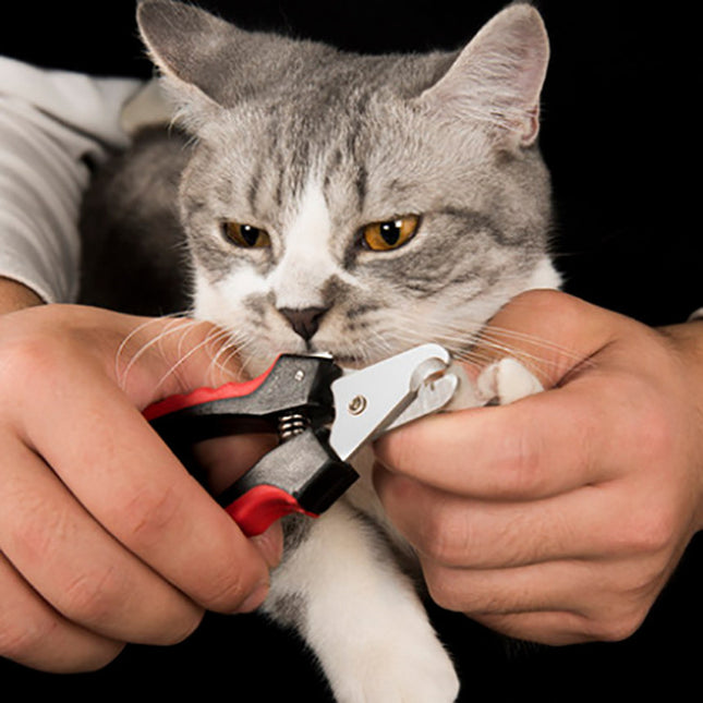 Corta Uñas Para Mascotas Incluye Lima