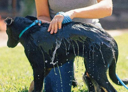 Kit manguera con manopla para bañar a tu mascota