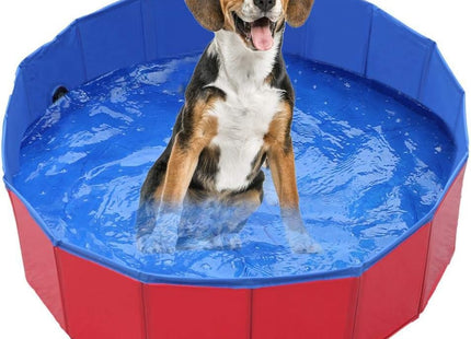 Piscina Plegable Para Perros - Grande 160 cm
