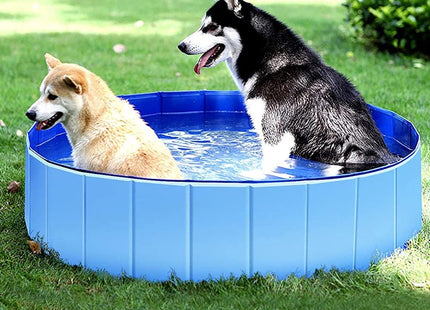 Piscina Plegable Para Perros - Grande 160 cm