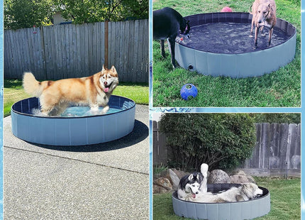 Piscina Plegable Para Perros - Grande 160 cm