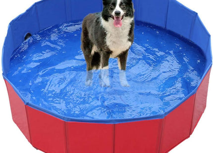 Piscina Plegable Para Perros - Grande 160 cm
