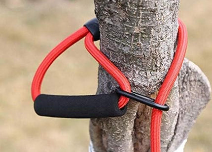 Correa Gruesa Para Perro 3M /5M /10M
