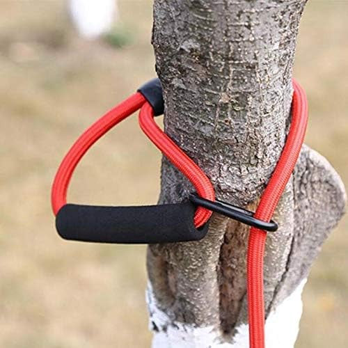 Correa Gruesa Para Perro 3M /5M /10M