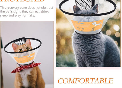 Collar Isabelino Con Velcro Para perro O Gato Tamaño Regulable