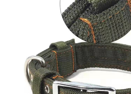 Collar Para Perro Reforzado Mediano Y Grande