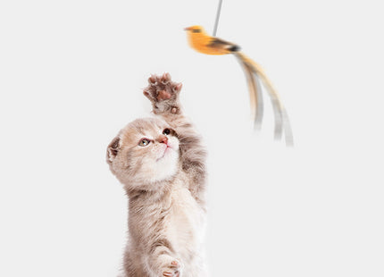 Juguete Colgante Automático Para Gatos