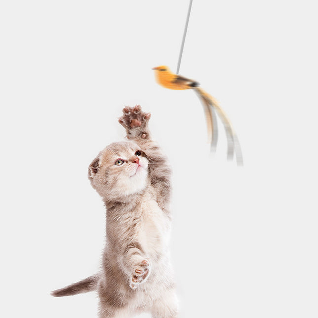 Juguete Colgante Automático Para Gatos