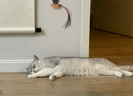 Juguete Colgante Automático Para Gatos