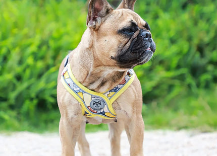 Arnés Pechera En Forma X  + Correa Para Perro