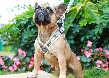 Arnés Pechera En Forma X  + Correa Para Perro