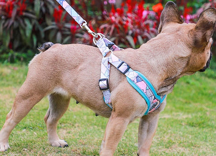 Arnés Pechera En Forma X  + Correa Para Perro