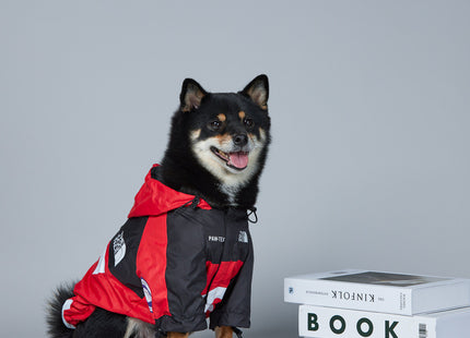 Capa Impermeable Con Capucha
