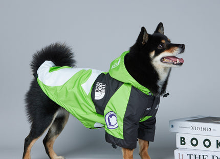 Capa Impermeable Con Capucha