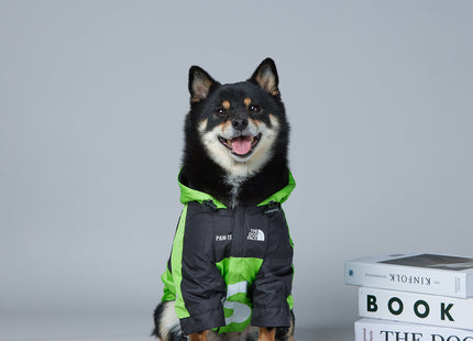 Capa Impermeable Con Capucha