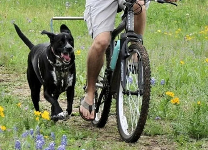 Correa Elástica Con Conector Para Bicicleta