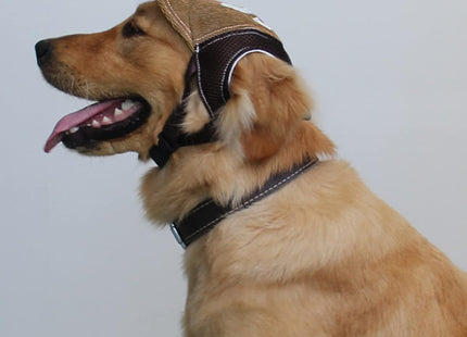 Gorro Ajustable Para Mascotas