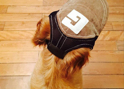 Gorro Ajustable Para Mascotas