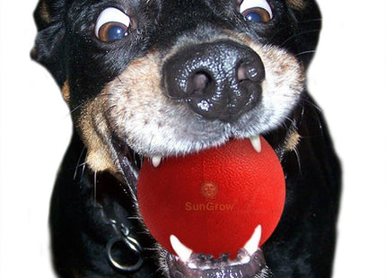 Juguete Pelota Maciza De Goma Para Perro