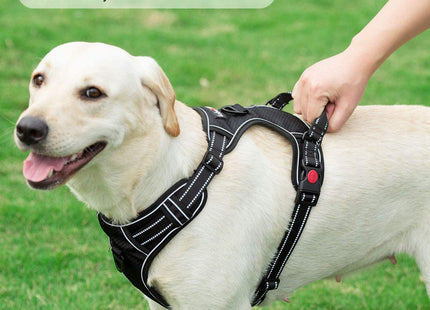 Pechera Anti Tirones Para Perro + Correa