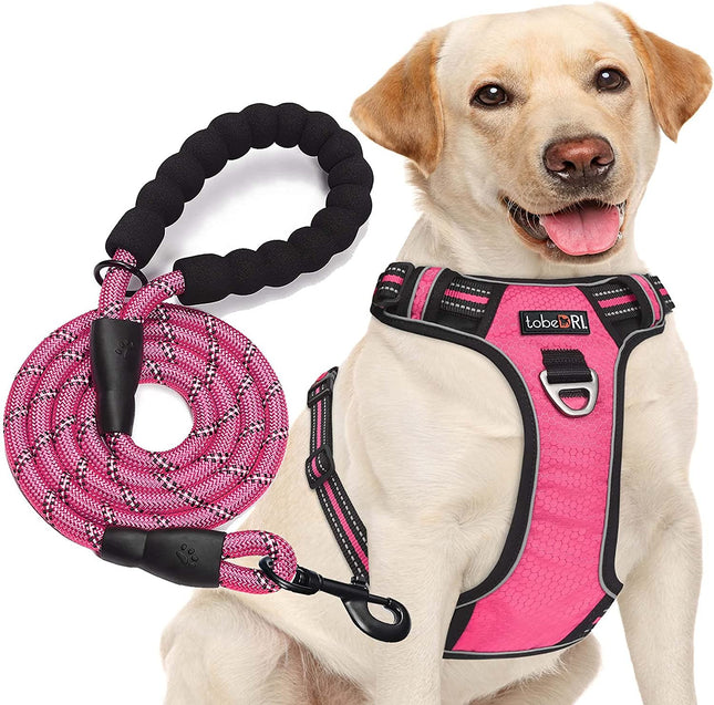 Pechera Anti Tirones Para Perro + Correa