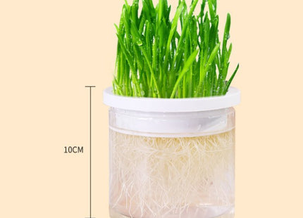 Maceta Para Cultivo De Hierba Gatera