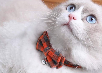 Collar Para Gato Con Moña Y Cascabel