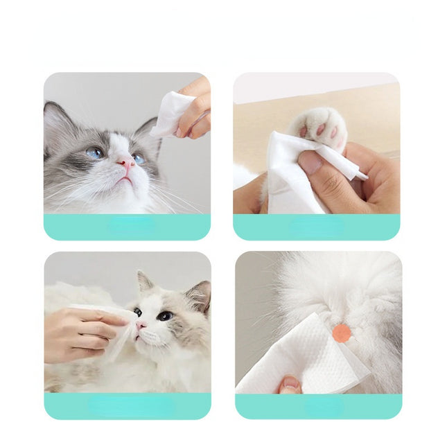 Toallas húmedas Para Mascotas - 80 Unidades