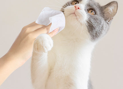 Toallas húmedas Para Mascotas - 80 Unidades