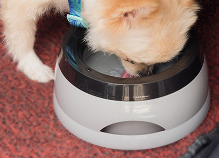 Plato Anti Salpicaduras Para Perro Ideal Para Autos