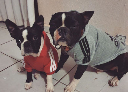 Buzo Polar Deportivo Con Capucha Adidog