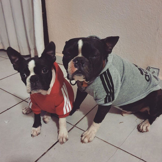 Buzo Polar Deportivo Con Capucha Adidog