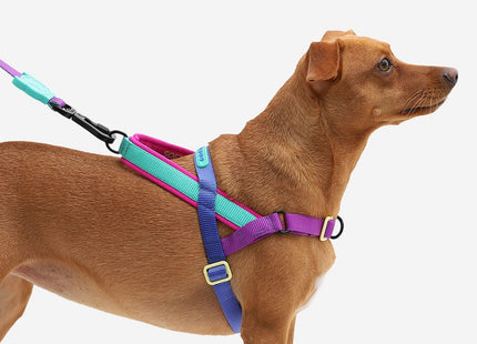 Arnés especial SofterWalk Anti tiro Zeedog Shockwave