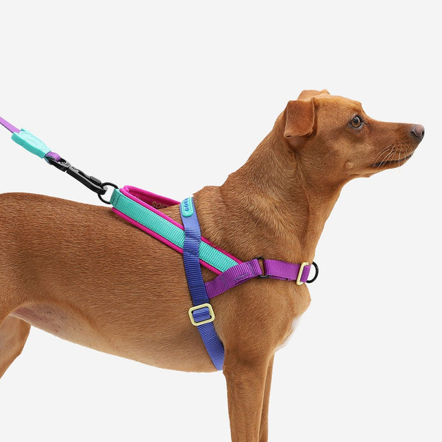 Arnés especial SofterWalk Anti tiro Zeedog Shockwave