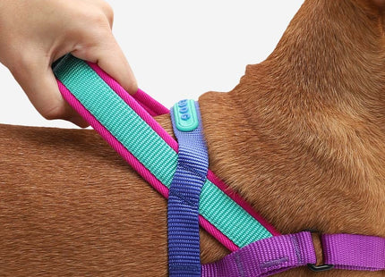 Arnés especial SofterWalk Anti tiro Zeedog Shockwave