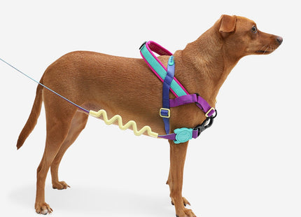 Arnés especial SofterWalk Anti tiro Zeedog Shockwave