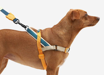 Arnés especial SofterWalk Anti tiro Zeedog Voyage