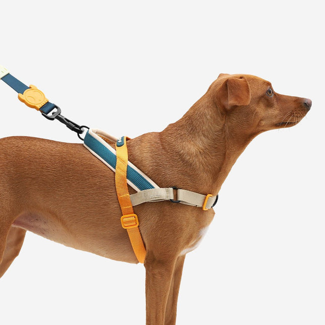 Arnés especial SofterWalk Anti tiro Zeedog Voyage