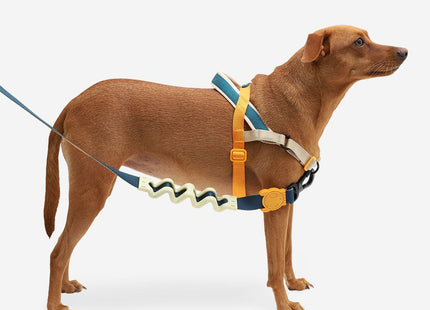 Arnés especial SofterWalk Anti tiro Zeedog Voyage