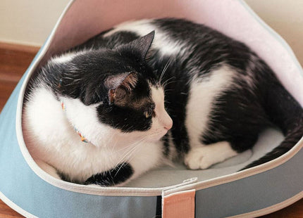Cama cucha para gato Zee Cat Combucha
