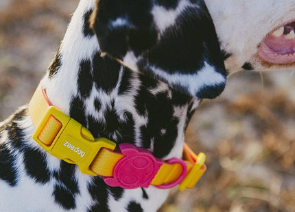 Collar para perro Zeedog Neopro Lyra