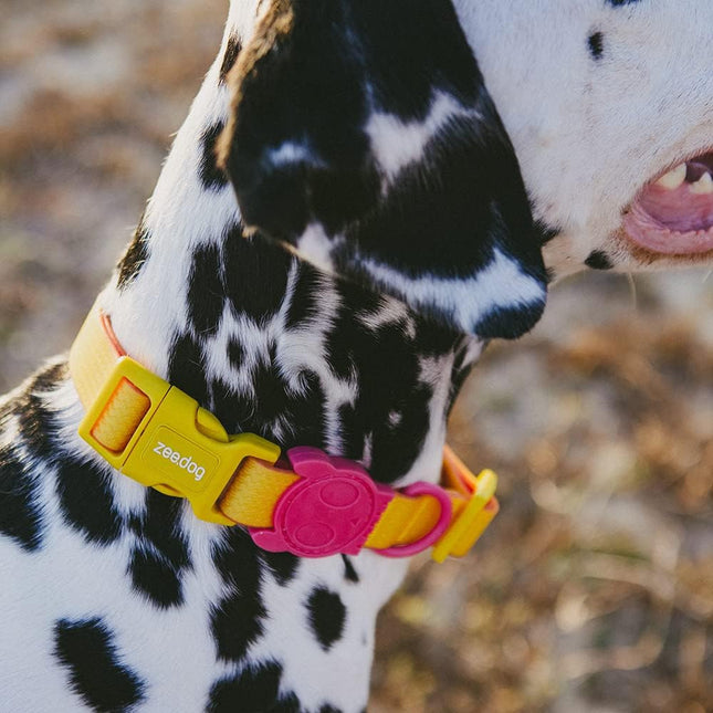 Collar para perro Zeedog Neopro Lyra