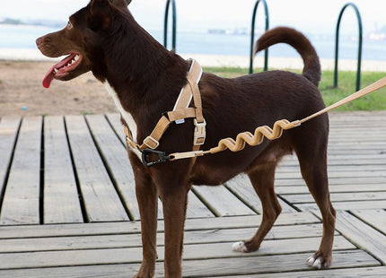 Arnés especial SofterWalk Anti tiro Zeedog Dune
