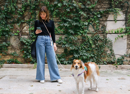 Correa manos libres para perro Zeedog Gravity