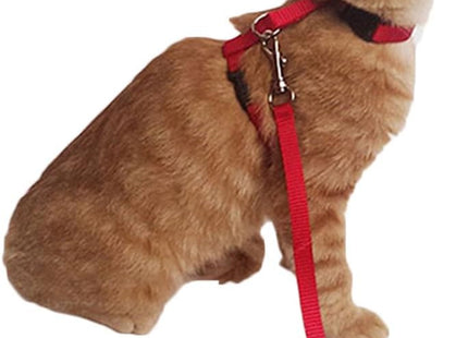 Arnés Liso Para Gato